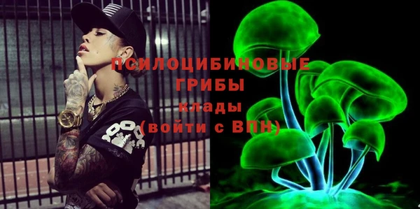 а пвп мука Няндома